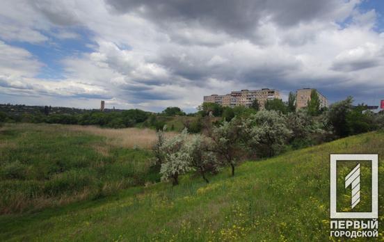 3 августа в Кривом Роге будет пасмурно