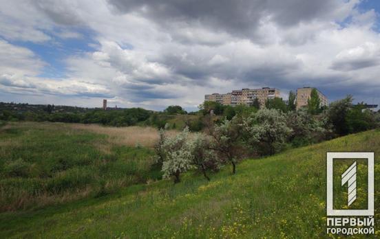 25 мая в Кривом Роге будет дождь