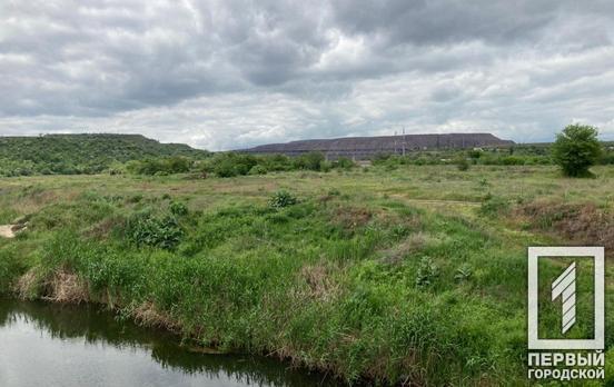 30 мая в Кривом Роге будет дождь