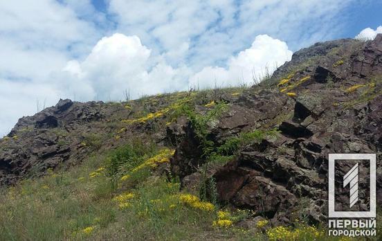 18 июня в Кривом Роге будет жаркий и солнечный день