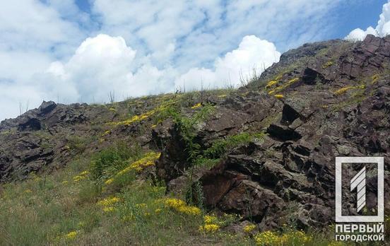 2 июля в Кривом Роге будет облачно