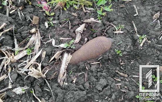 За сутки под Кривым Рогом обнаружили два устаревших боеприпаса