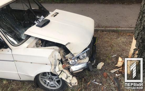 В Кривом Роге водитель сбил женщину с ребёнком и врезался в дерево