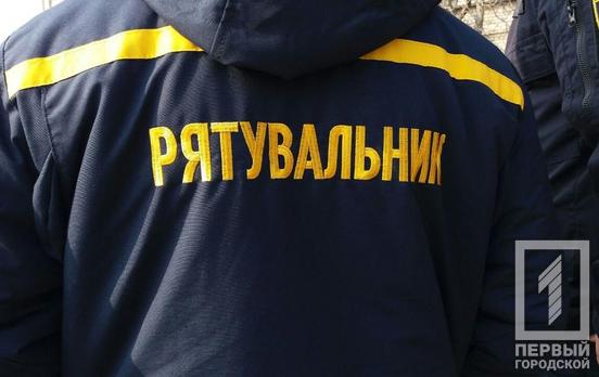 Спасатели Кривого Рога помогли коту и собаке, попавшим в беду