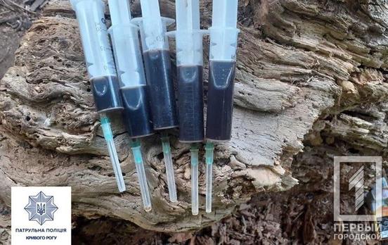 Марихуана и «ширка»: патрульные Кривого Рога выявили людей с наркотиками