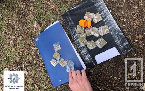 В Кривом Роге патрульные задержали женщину с «травкой» и мужчину с «ширкой»