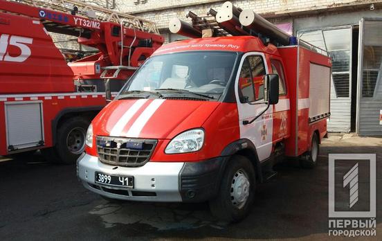 В Кривом Роге спасатели искали змею в салоне автомобиля