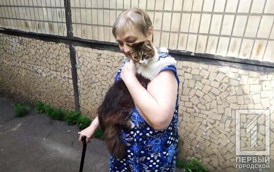 В Кривом Роге спасатели сняли с дерева кота