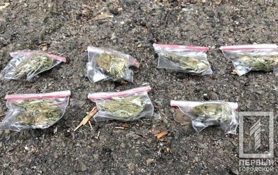 Каннабис и метамфетамин: в Кривом Роге задержали двух человек с наркотиками