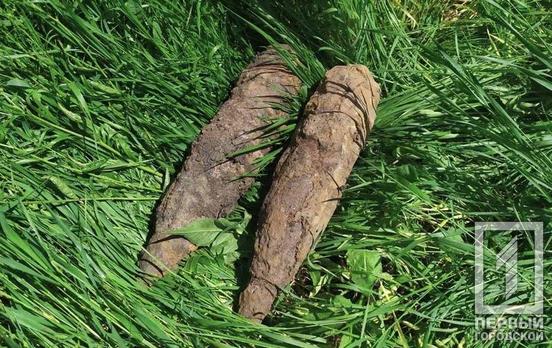 Под Кривым Рогом взрывотехники обезвредили устаревшие боеприпасы