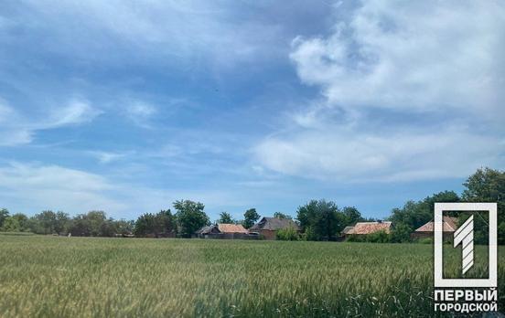 10 августа в Кривом Роге будет переменная облачность