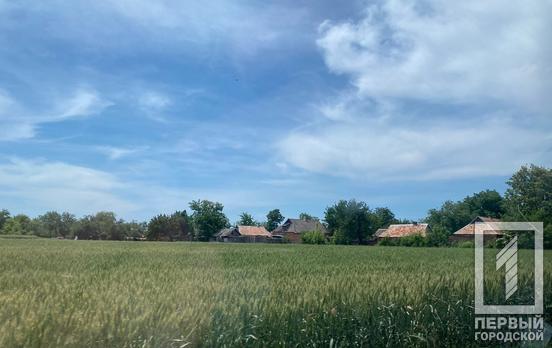 З боку Херсонщини окупанти намагалися прорватись у тил наших підрозділів на Криворізькому напрямку