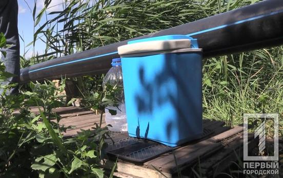 Вода в Саксагани не соответствует нормам, - экологи Кривого Рога