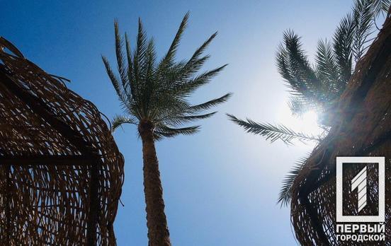 Синоптики прогнозируют для жителей Украины жаркий июль