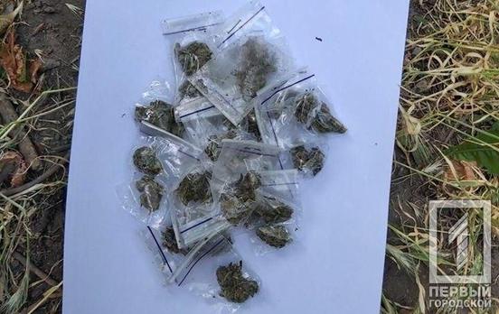 В Кривом Роге полицейские задержали мужчину с наркотиками