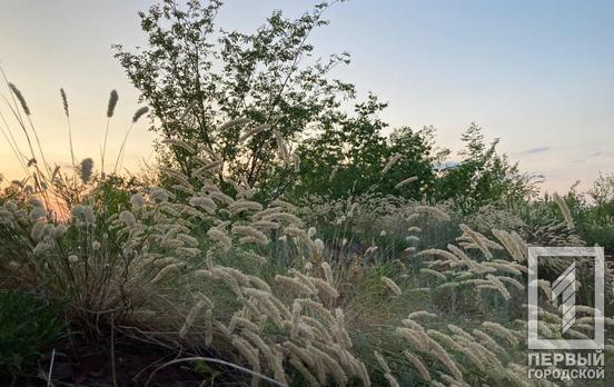 3 июля в Кривом Роге будет знойная жара