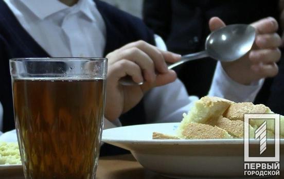 В 11 школах Кривого Рога оборудование в столовых поменяют на современное