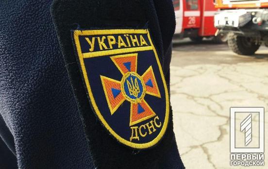 В частном секторе Кривого Рога спасатели поймали змею