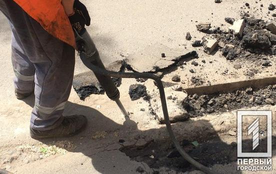 Горожанка требует от Президента восстановить трассу из Кривого Рога в направлении Жёлтых Вод, – петиция