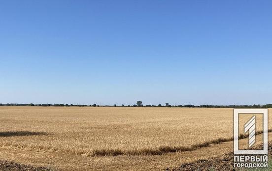 26 июля в Кривом Роге будет ясная погода