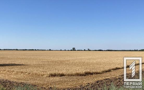 3 сентября в Кривом Роге будет жарко