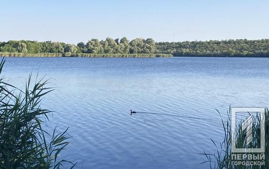 15 июля в Кривом Роге будет солнечный день