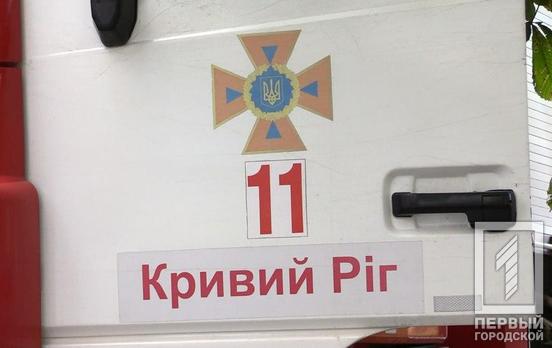 В Кривом Роге из открытого колодца спасли собаку