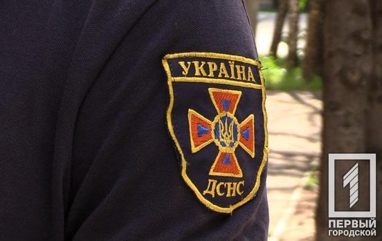 Житель Кривого Рога нашёл у себя на огороде гранату времён Второй мировой войны