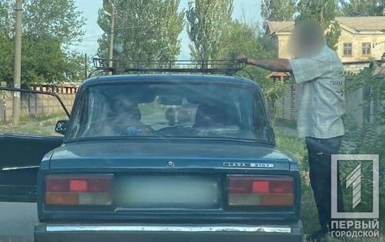 Пьяный водитель из Кривого Рога предлагал взятку патрульным