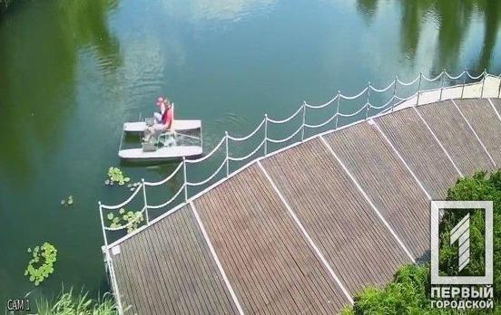 «Ничего для людей»: в одном из парков Кривого Рога неизвестный сорвал водяную лилию, - соцсети