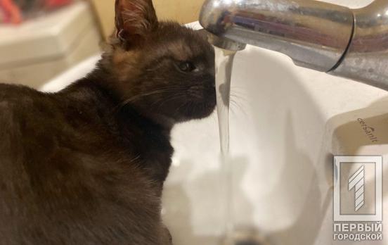 В Кривом Роге временно отключат воду (адреса)