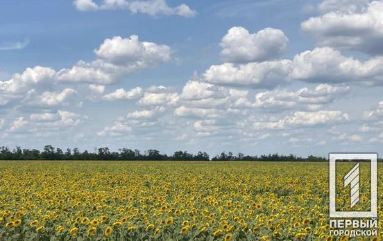 22 июля в Кривом Роге будет переменная облачность