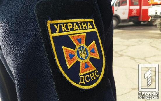 26 артснарядов: под Кривым Рогом нашли взрывоопасные «трофеи»