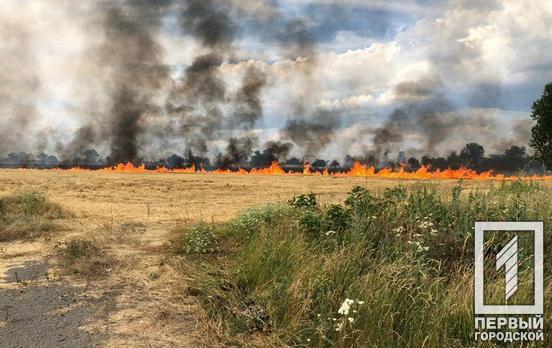 На Днепропетровщине за сутки 34 раза вспыхивал огонь на открытой территории