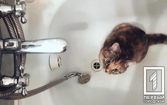 Детсады и жилые дома в Кривом Роге остались без воды из-за аварийного отключения (адреса)