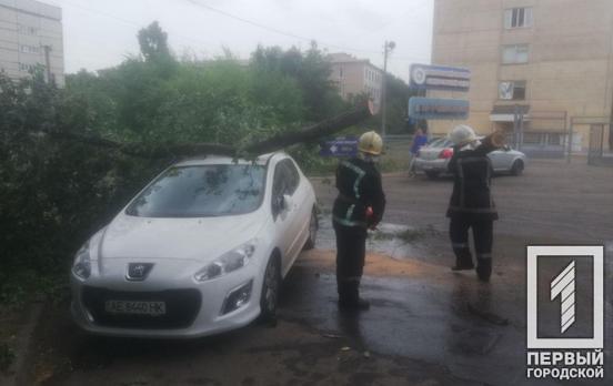 В Кривом Роге порыв ветра повалил дерево на автомобиль