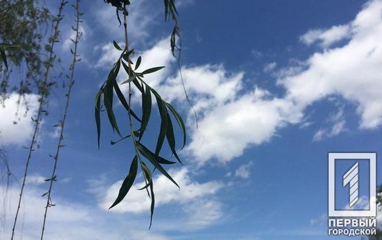 9 августа в Кривом Роге будет переменная облачность