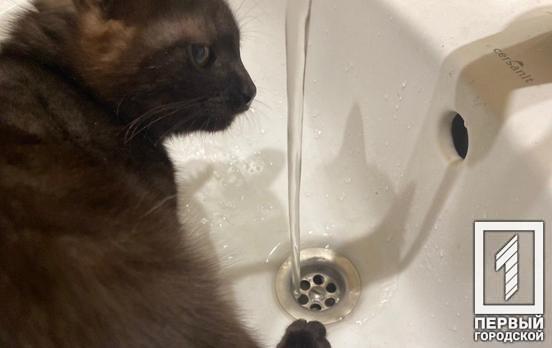 Аварийные работы: жителям Кривого Рога временно перекрыли воду (адреса)