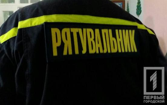 В Кривом Роге змея заползла в частный дом