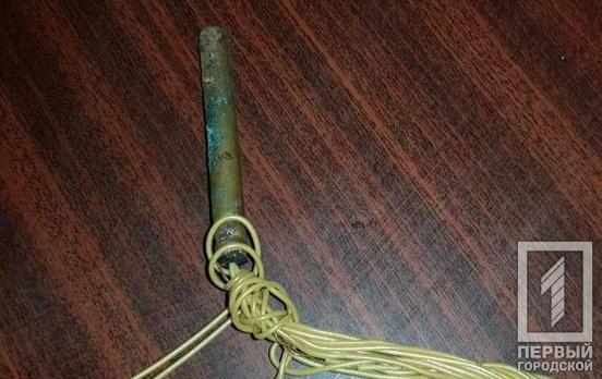 Детонатор и «травка»: в Кривом Роге полицейские изъяли запрещённые предметы у горожанина