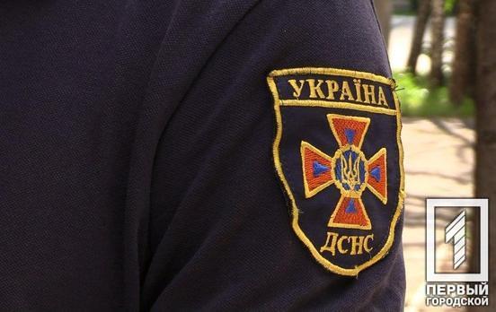 В поле недалеко от Кривого Рога нашли мину времён Второй мировой