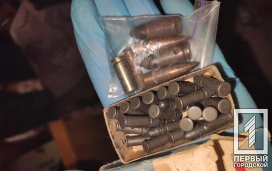 Полицейские Кривого Рога изъяли наркотики и патроны у местной жительницы