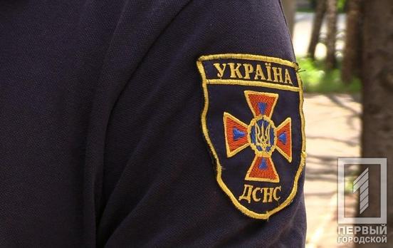 В Кривом Роге горели две припаркованные иномарки