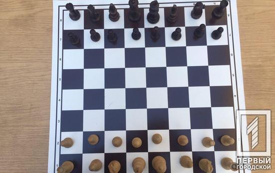 Команда из Кривого Рога стала бронзовым призёром турнира Высшей детской шахматной лиги