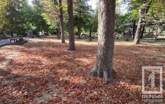 В Днепропетровской области прогнозируют резкое похолодание