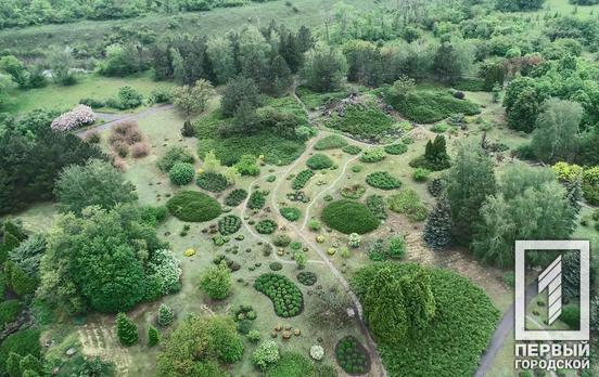 Ботанический сад Кривого Рога из-за жары закрыли до конца августа