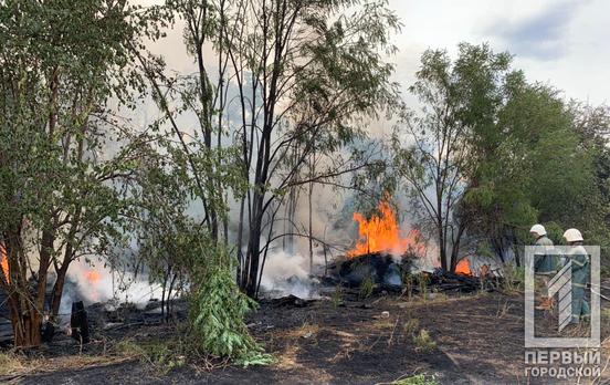 В Кривом Роге огонь с сухой травы перебросился на деревянные дома