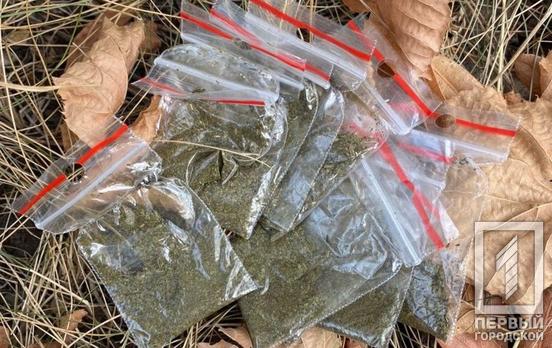 Клад спрятал, но убежать не успел: в Кривом Роге патрульные поймали в лесу «закладчика»