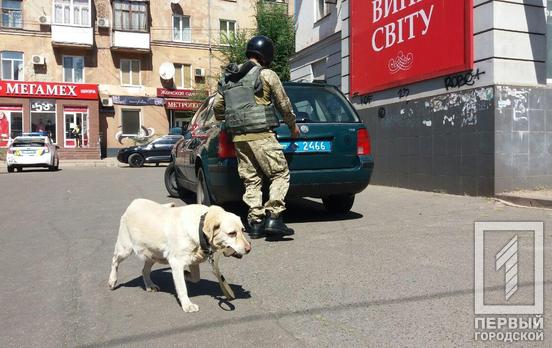 На 96-м квартале в Кривом Роге сотрудников банка перепугал подозрительный рюкзак