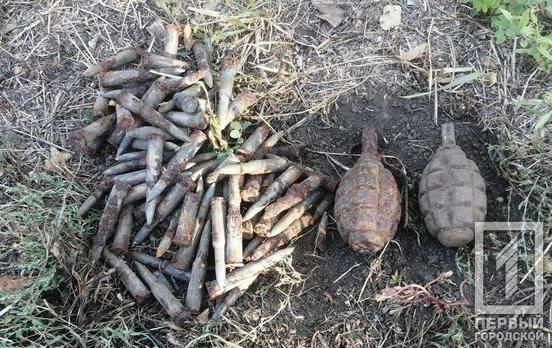 Под Кривым Рогом поисковики нашли устаревшие гранаты и патроны